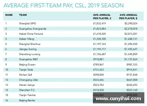 2010年球员年薪统计与职业体育竞技的经济影响